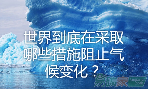 世界到底在采取哪些措施阻止氣候變化？