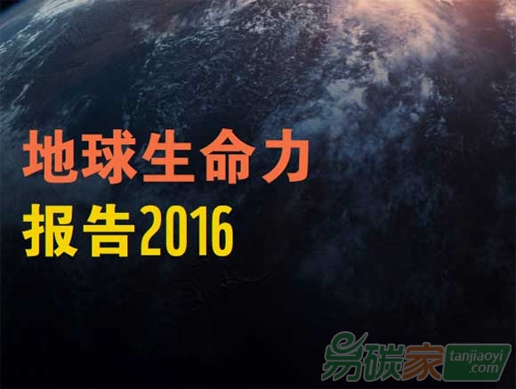 《地球生命力報告》發布2020年野生動物種群數量將會減少2/3