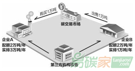 碳配額計算器