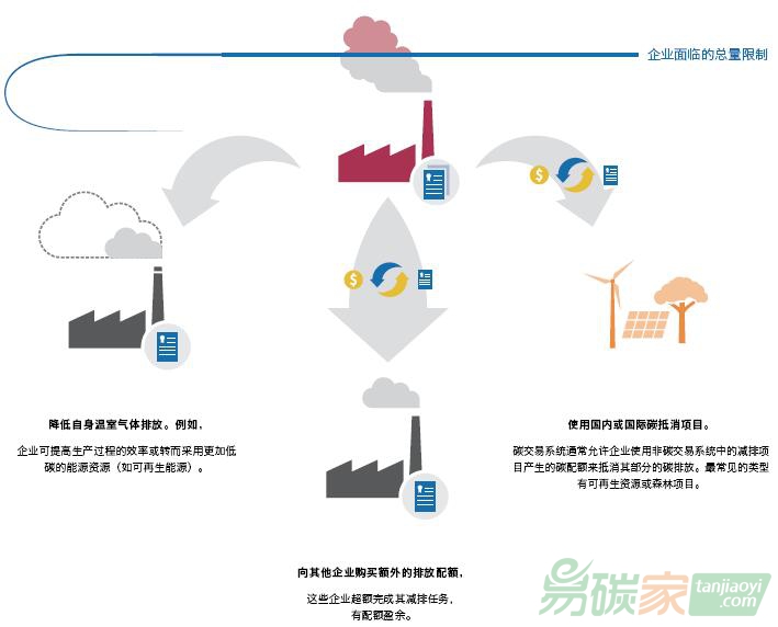 企業如何管理其碳排放?