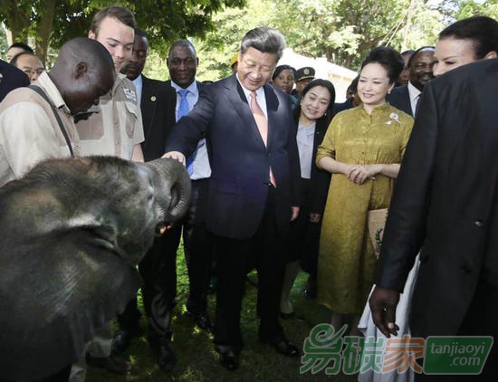 2015年12月2日，國家主席習近平在津巴布韋考察野生動物救助基地。新華社記者蘭紅光攝